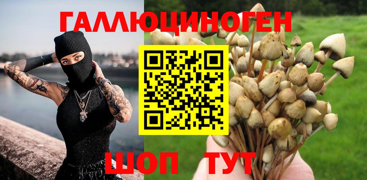 Липецк  Псилоцибиновые грибы MAGIC MUSHROOMS  Галлюциногенные грибы прущие грибы  Вход с VPN 